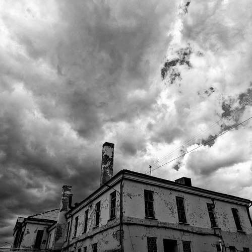 Photo #10648076
