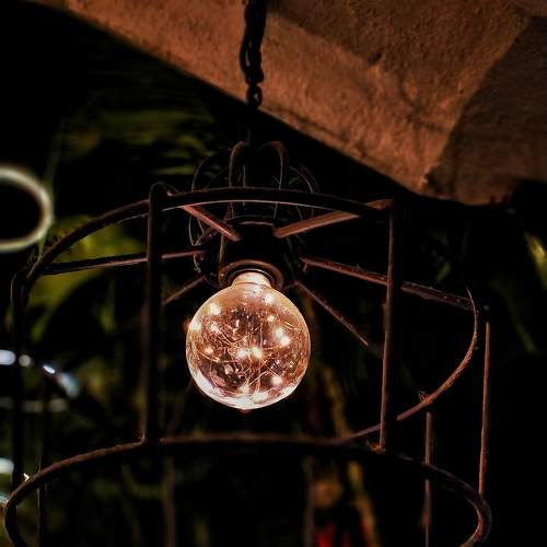 Photo #10648079