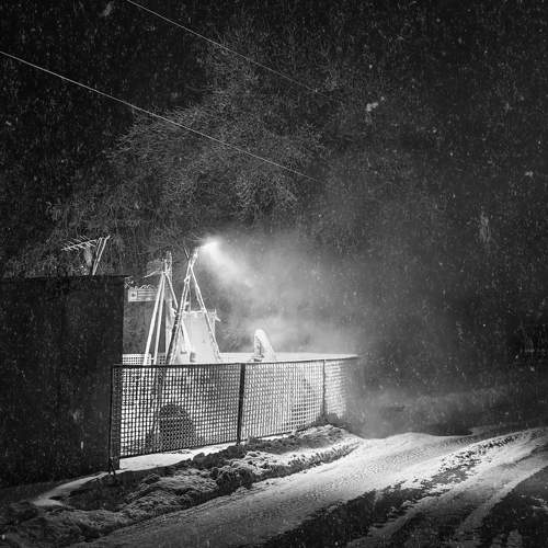 Photo #10648082