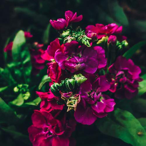 Photo #10648259