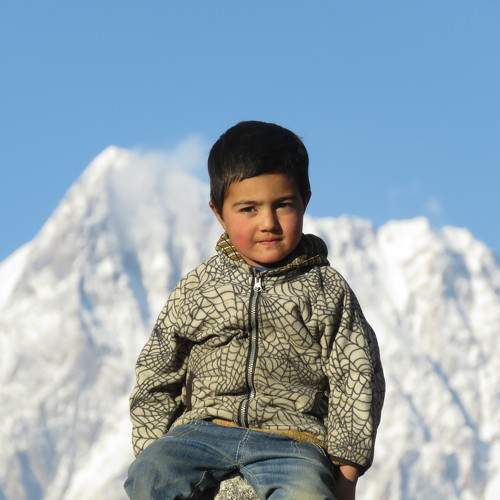 Photo #10648599