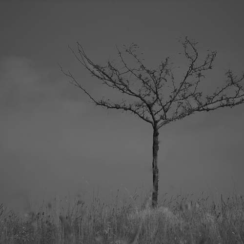 Photo #10648646