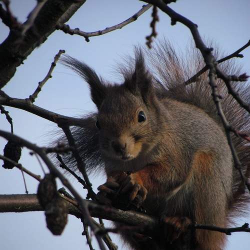 Photo #10648962