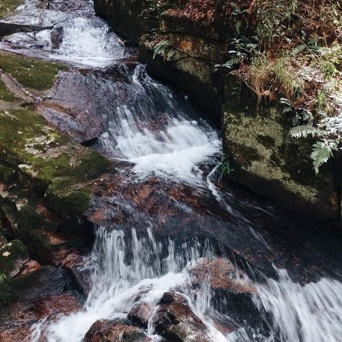 Photo #10649461