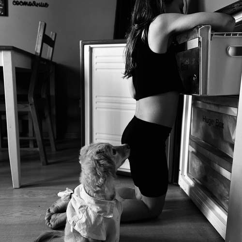 Фотография #10649834