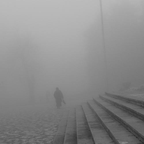 Photo #1065406