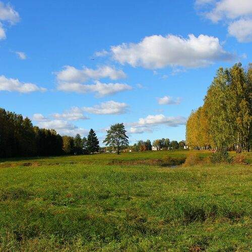 Photo #1068363