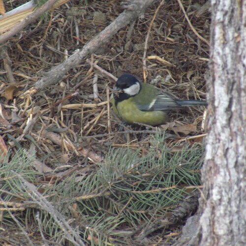 Photo #1069829
