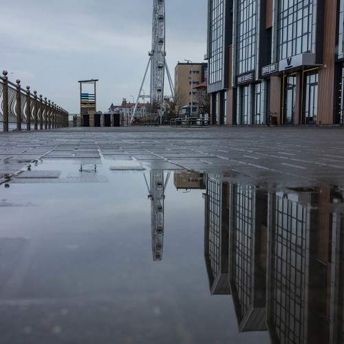 Photo #10650159
