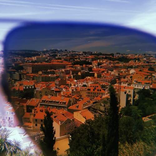 Photo #10650206