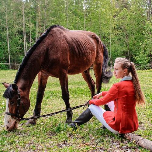 Photo #10650317
