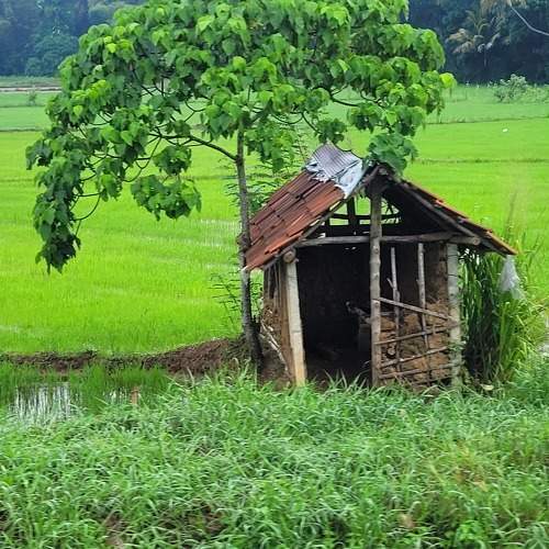 Photo #10650363
