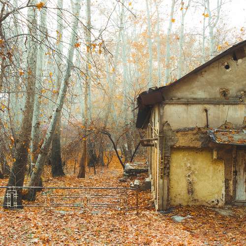 Photo #10650825