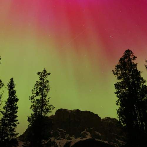 Photo #10651259