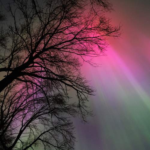 Фотография #10651392