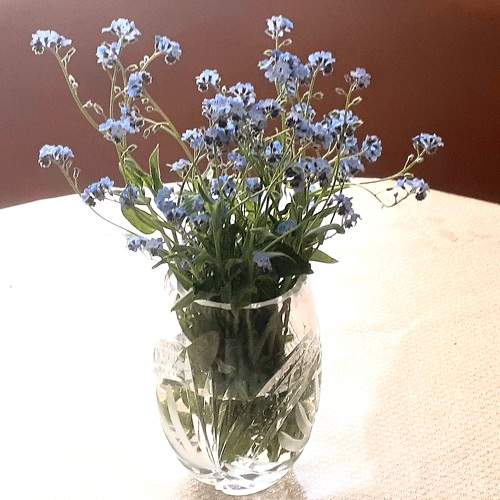Photo #10651435