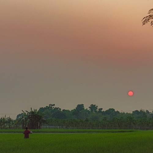 Photo #10651457