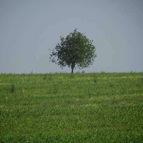 Photo #10652072