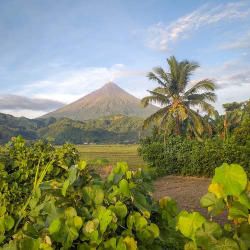 Photo #10652128