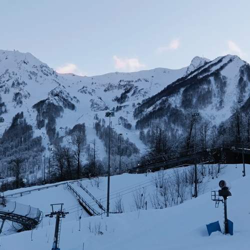 Photo #10652643
