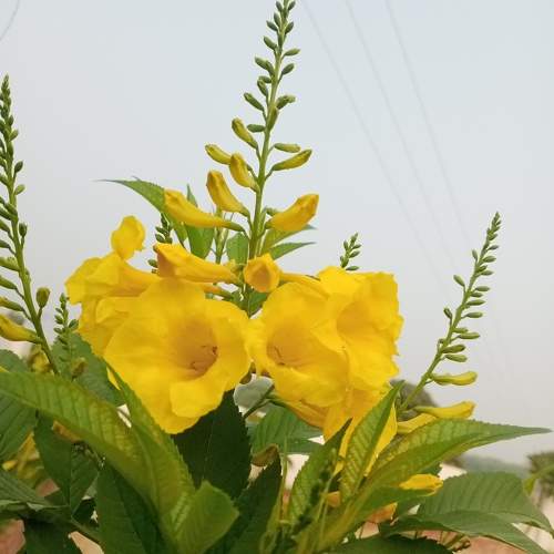 Photo #10652659