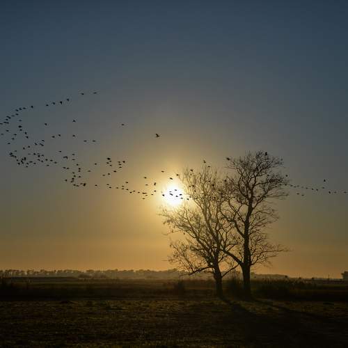 Photo #10652736