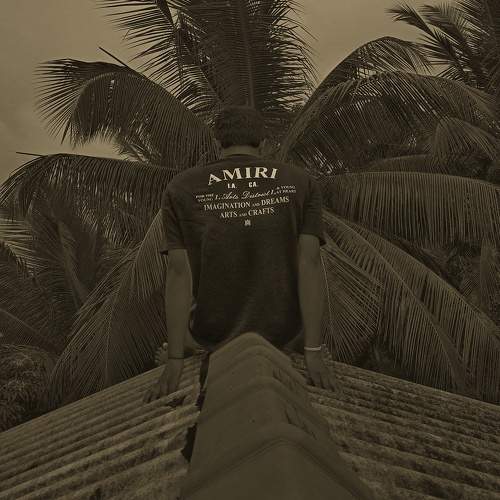 Photo #10652745