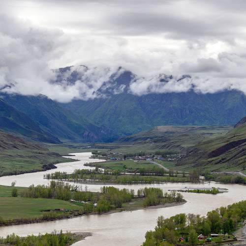 Photo #10653203