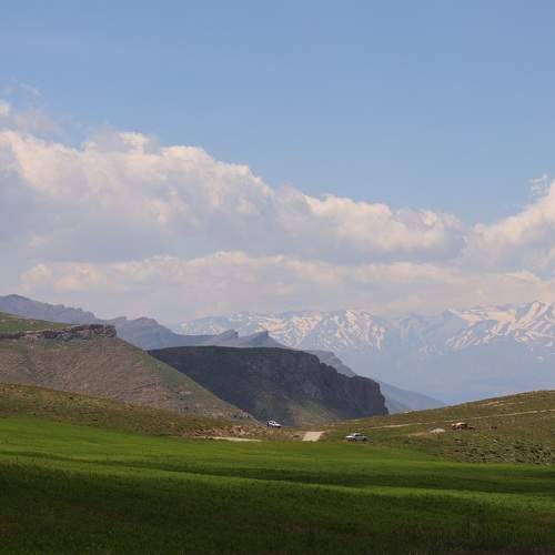 Photo #10653284