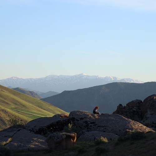 Photo #10653286
