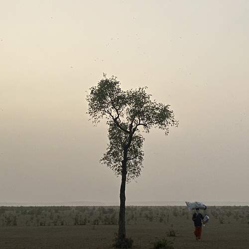Photo #10653523