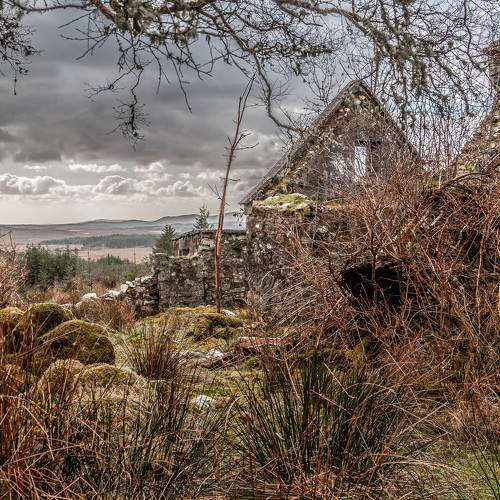 Ruins of a cottage in Connemara