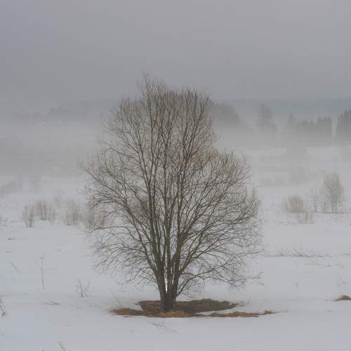 Photo #10654053