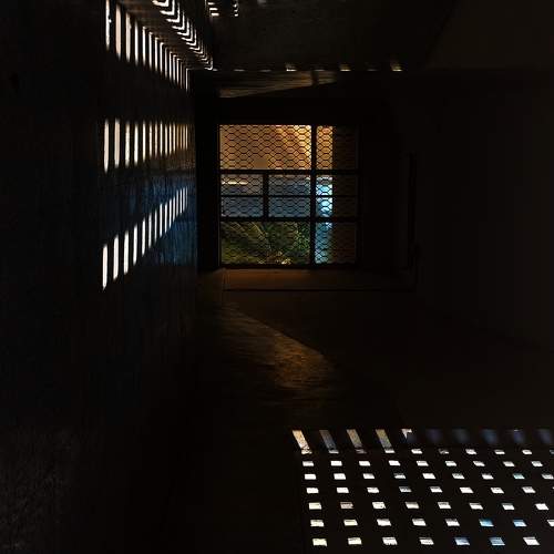 Photo #10654149