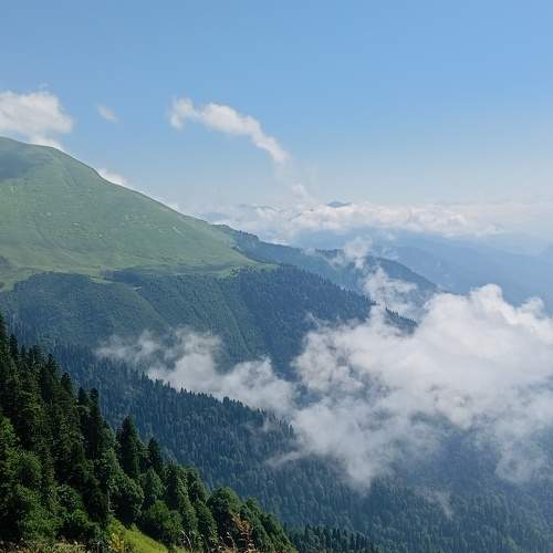 Photo #10654546