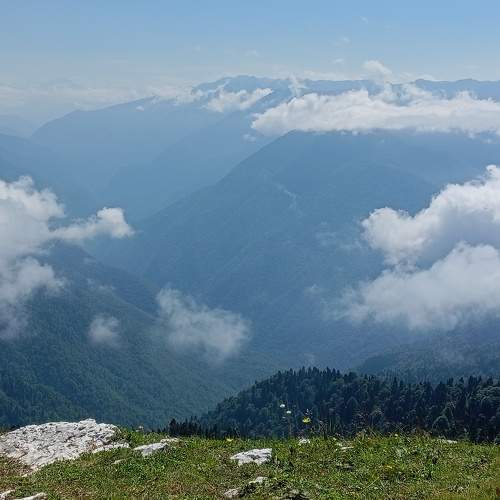 Photo #10654584