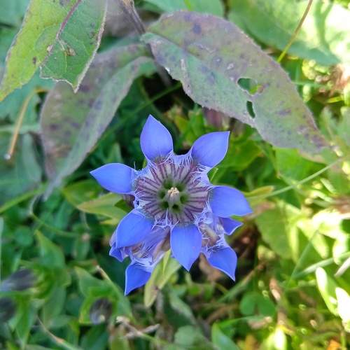 Photo #10654589