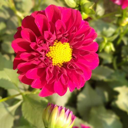 Photo #10655222