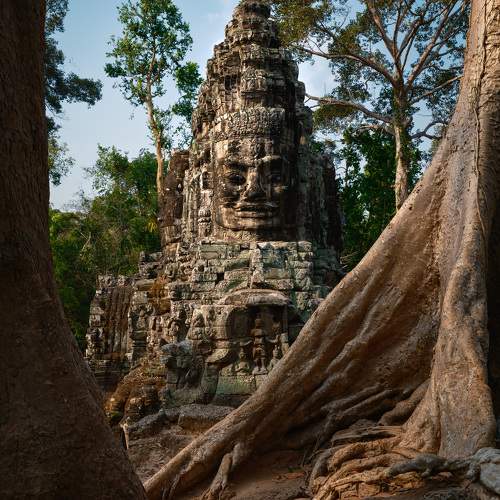 Photo #10655367