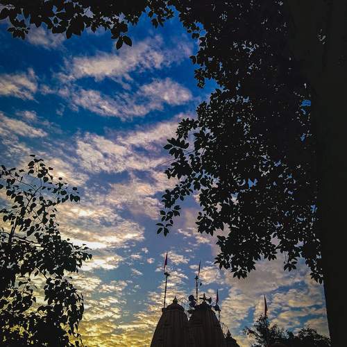 Photo #10655432
