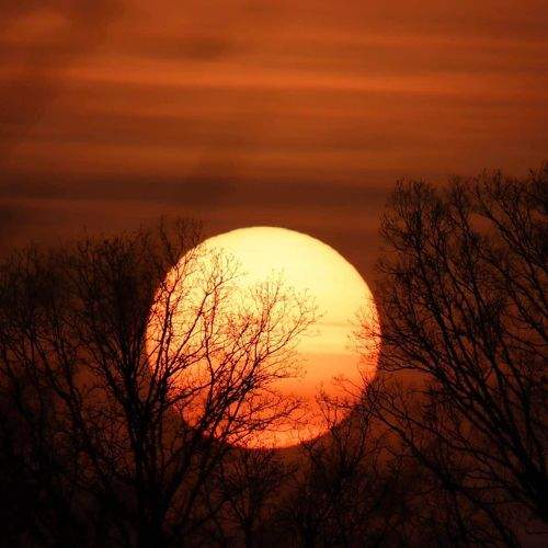 Photo #10655566