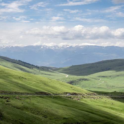 Photo #10655625