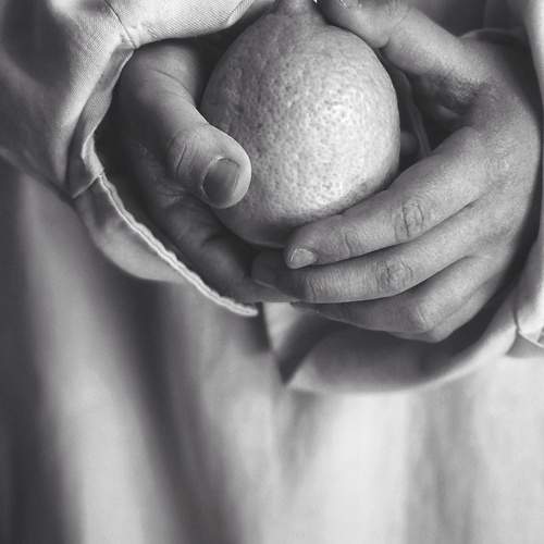 Photo #10655814