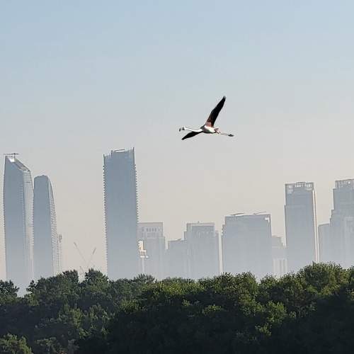 Photo #10655834