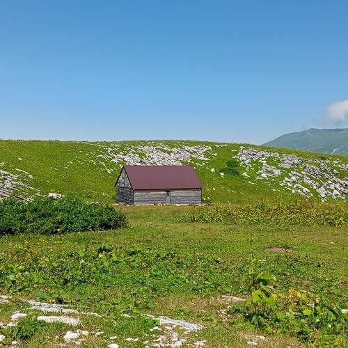 Photo #10655913