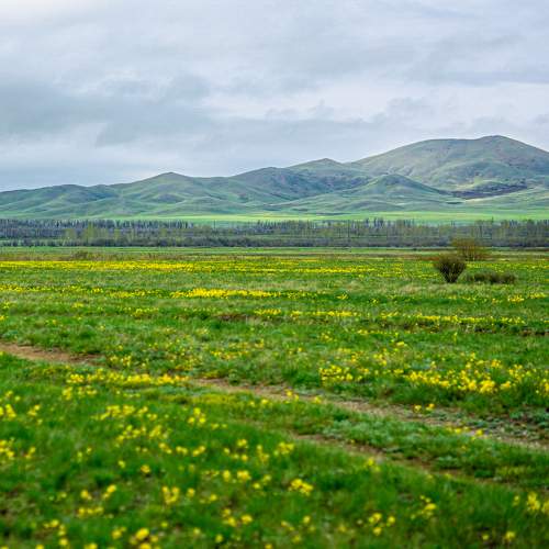 Photo #10656123