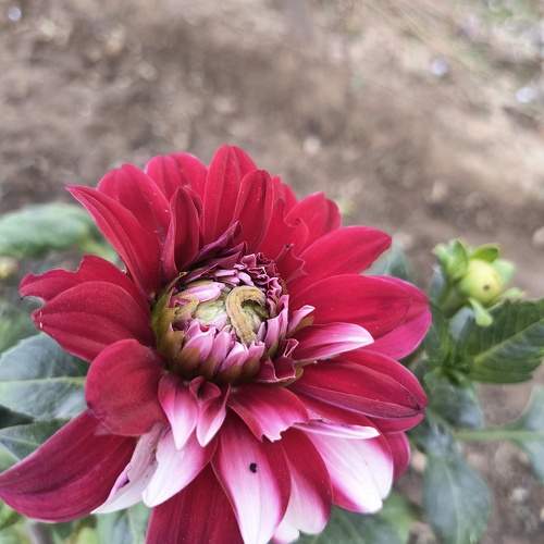 Photo #10656405