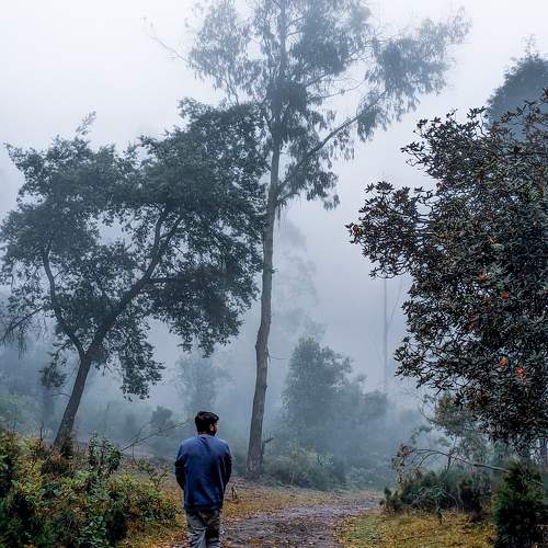 Photo #10656432