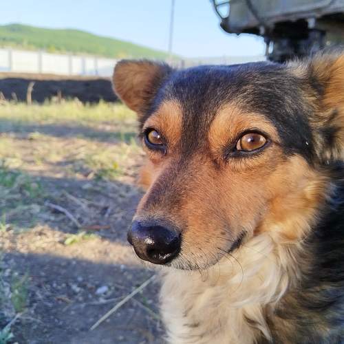 Photo #10656457