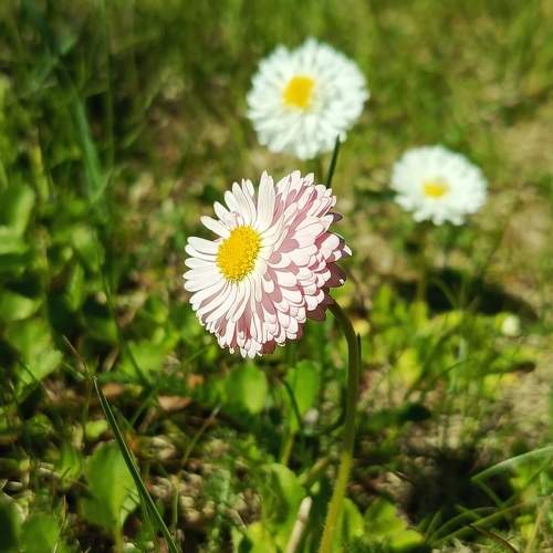 Photo #10656469